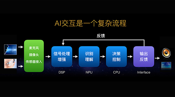 15096175711319665PzP.jpg w20171102_04.jpg